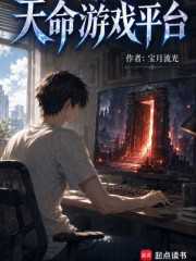 宝月流光：天命游戏平台