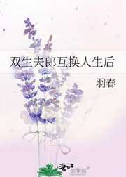 羽春：双生夫郎互换人生后