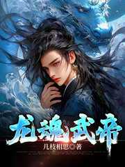 几枝相思：龙魂武帝