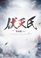 净无痕：伏天氏