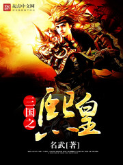 名武：三国之熙皇