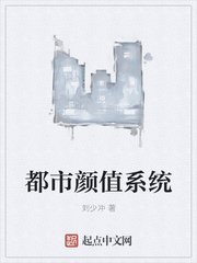 刘少冲：都市颜值系统