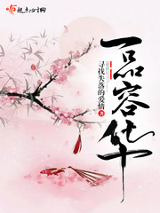 寻找失落的爱情：一品容华