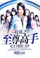 月下狼影：校花之至尊高手