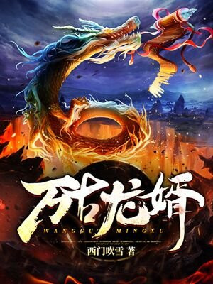 西门吹雪：万古龙婿