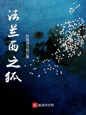 奶瓶战斗机：法兰西之狐