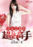 一念风雨：美女总裁的超品高手