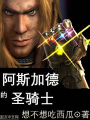 想不想吃西瓜：阿斯加德的圣骑士
