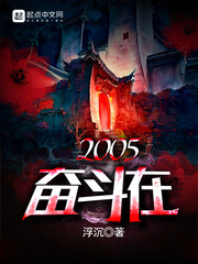 浮沉：奋斗在2005