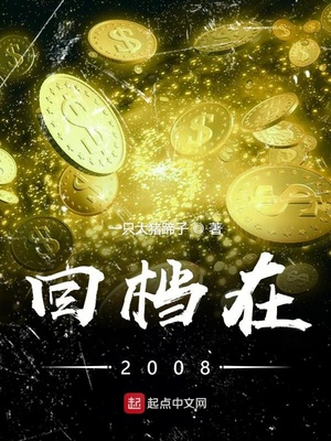 一只大猪蹄子：回档在2008