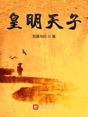 吾谁与归：皇明天子