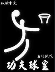 石岭探花：功夫球皇