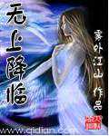 雾外江山：无上降临