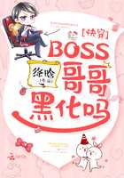 绛晗：快穿：BOSS哥哥，黑化吗