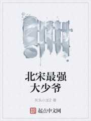 灰头小宝2：北宋最强大少爷