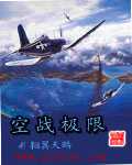 翱翼天鹏：空战极限