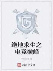 小生无花：绝地求生之电竞巅峰