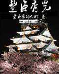 丰臣家的人们：丰臣秀光
