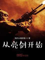 我的头像是猫：从亮剑开始崛起