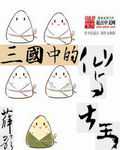 薛歌：三国中的仙与大王