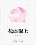 绾清风：花添锦上