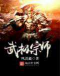 风消逝：武极宗师