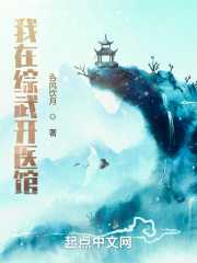 吞风饮月：我在综武开医馆