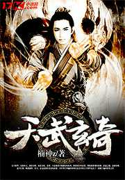 楠神z：天武玄奇