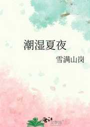 潮湿夏夜