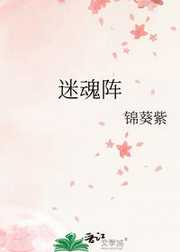 锦葵紫：迷魂阵