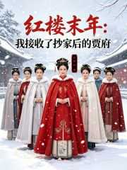 山南水：红楼末年：我接收了抄家后的贾府